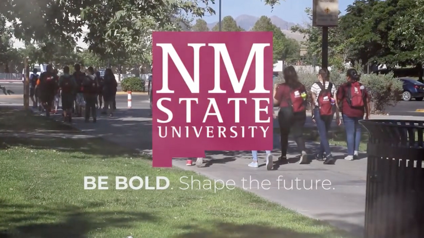 NEW MEXICO STATE UNIVERSITY - MARKETING
